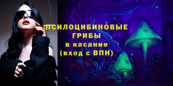 гашик Белокуриха