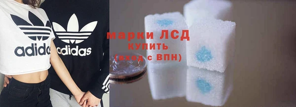 гашик Белокуриха