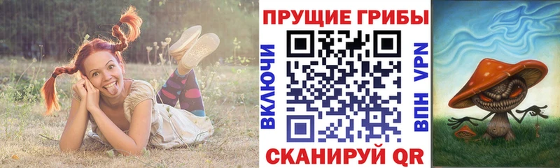 Псилоцибиновые грибы GOLDEN TEACHER сколько стоит Болгар